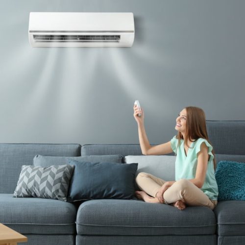 Window Air Conditioners with Heater Under Budget