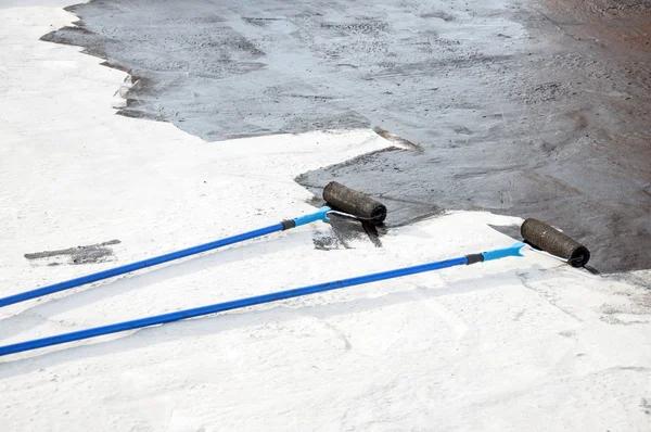 Waterproofing Company in Springfield: Basement Problems You Shouldn’t Ignore