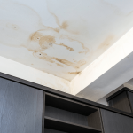 Common Signs You Need Water Damage Repair in Oregon City