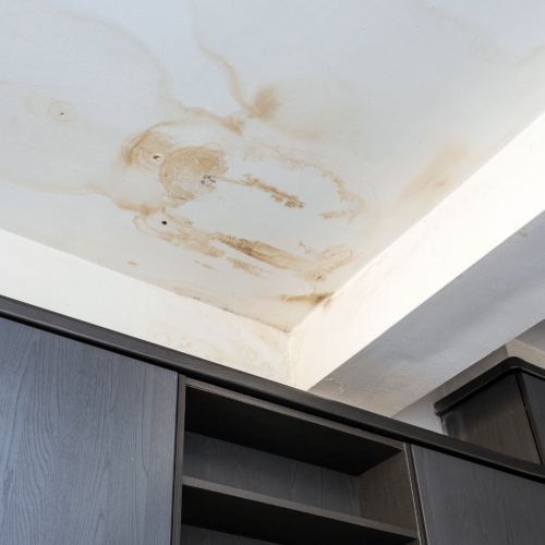 Common Signs You Need Water Damage Repair in Oregon City