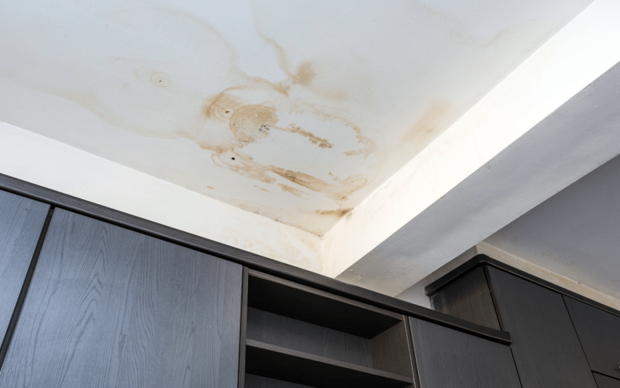 Common Signs You Need Water Damage Repair in Oregon City