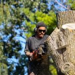 Tree Service That Keeps Your Yard Looking Its Best