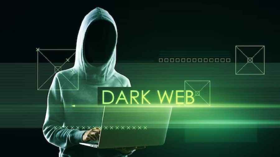 Evaluate Darkweb Connectivity Insights Through Real-Time Metrics