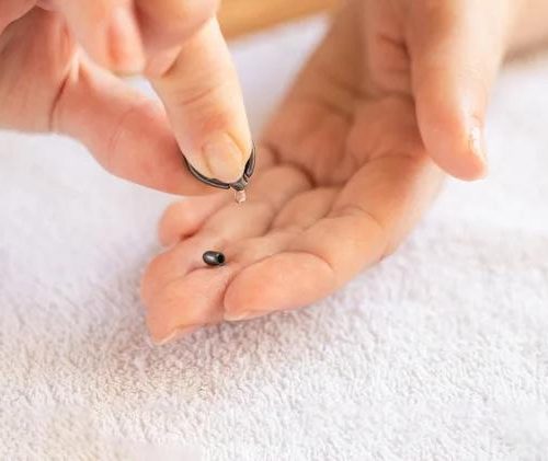 Why Piercing Specials Matter Before Booking an Appointment