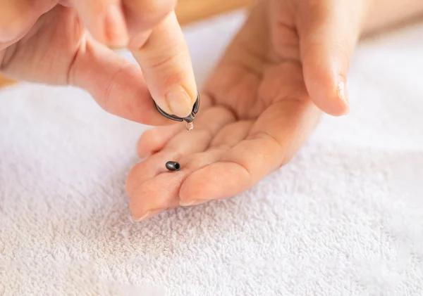 Why Piercing Specials Matter Before Booking an Appointment